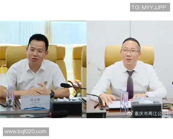 深圳羽毛球队的转型之路：从传统到现代的深度解析与发展探讨